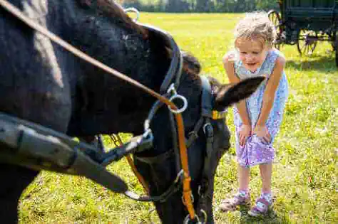 ostern-feriencamp-unser-reitcamp