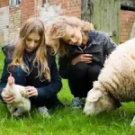 zwei-maedchen-streicheln-ein-huhn-und-ein-schaf-im-ferienlager-auf-dem-bauernhof