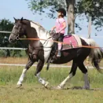 ponyreiten-an-der-lounge-auf-dem-kinderbauernhof-in-brandenburg