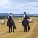 zwei-kinder-reiten-auf-einem-stoppelfeld-in-sachsen