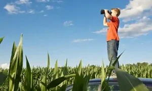 ein-junge-schaut-mit-dem-fernglas-nach-dem-ferienlager